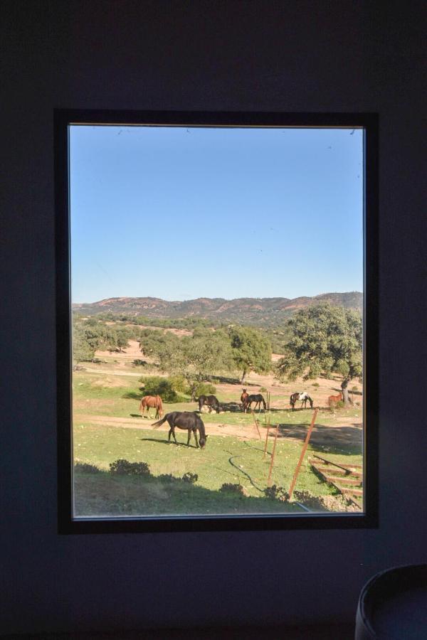 El Garrobo Finca Santa Maria De Las Canadas מראה חיצוני תמונה